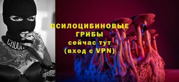 ГАЛЛЮЦИНОГЕННЫЕ ГРИБЫ Липки
