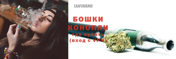 ГАЛЛЮЦИНОГЕННЫЕ ГРИБЫ Липки