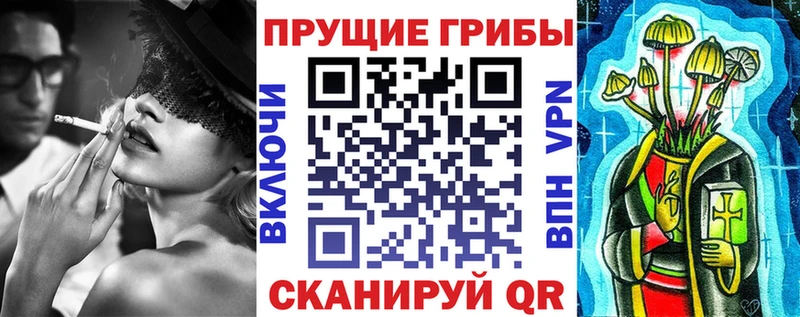 Галлюциногенные грибы Psilocybine cubensis  Серов 